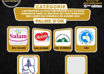 Palme d’Or pour la Meilleure Eau Minérale en Guinée/ 15 ème édition GUINEA COMPANY AWARDS : le voting grand public pour la Palm d’or du meilleur service de transfert d’argent en Guinée 2024 lancé.
