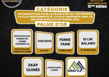Palme d’Or de l’Entreprise Agricole 2024: 15ème édition de GUINEA COMPANY AWARDS/ lancement du voting du grand public de l’entreprise la plus performante et la plus innovante dans le secteur agricole en Guinée 2024
