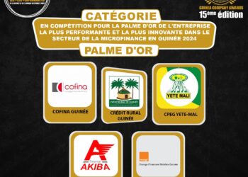 Palme d’Or de la Meilleure Microfinance: 15ème édition de GUINEA COMPANY AWARDS/ lancement du voting du grand public de la palme d’Or de l’entreprise la plus performante et la plus innovante dans le secteur de la microfinance en Guinée 2024.