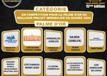 Palme d’Or du Meilleur Projet Immobilier en Guinée 2024: 15ème édition de GUINEA COMPANY AWARDS/ lancement du voting du grand public de la palme d’Or du meilleur projet immobilier en Guinée 2024