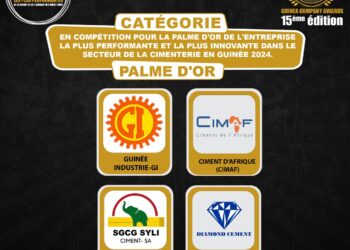 15ème édition de GUINEA COMPANY AWARDS: voting de la Palme d’Or de l’Entreprise la Plus Performante et la Plus Innovante dans le Secteur de la Cimenterie en Guinée 2024 lancé.