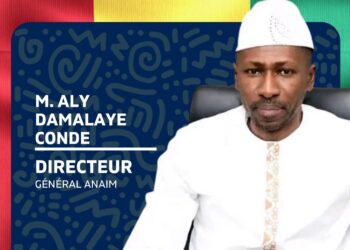 FONAP 2025: M. Aly Dmalaye parmi les 100 personnalités qui font bouger la Guinée !