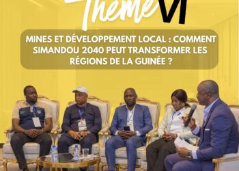 Panel 5/Thème VII: Former pour transformer : le rôle des universités et des centres de formation dans l’écosystème Simandou